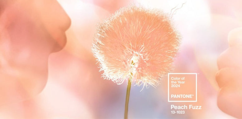 How Pantone Colors Rule the Fashion World
